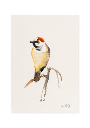 Abstract Sparrow IV