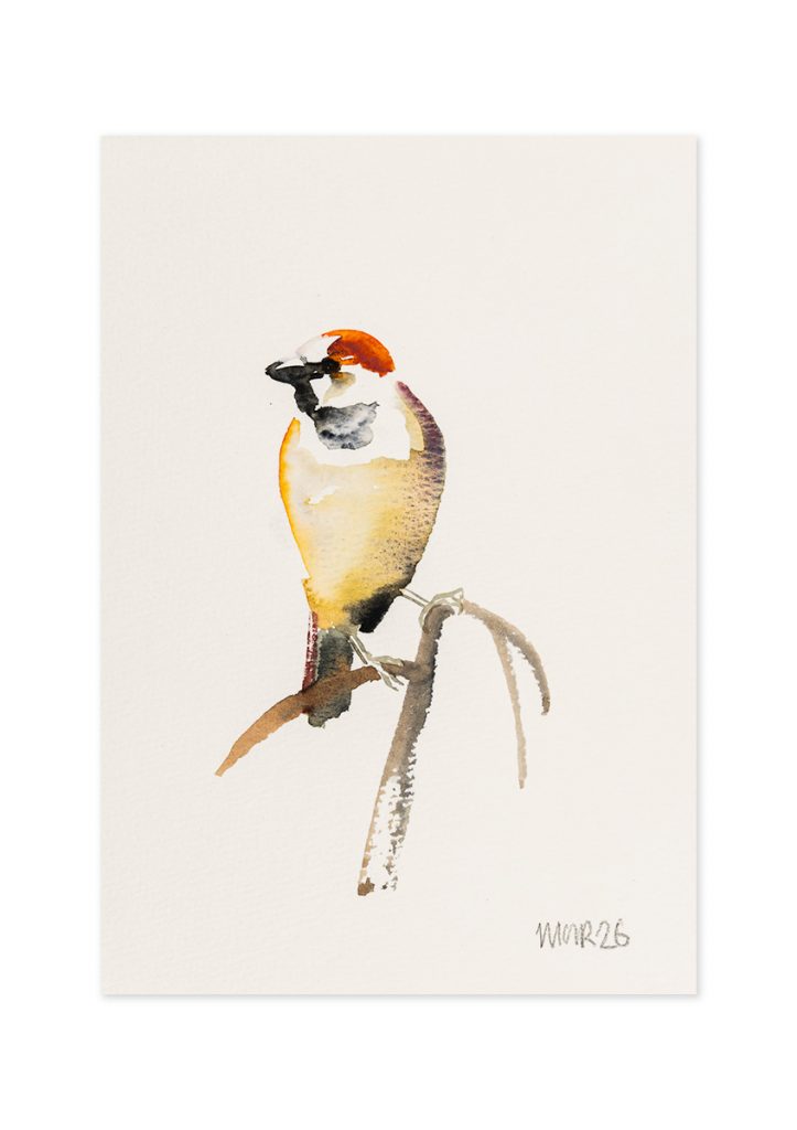 Abstract Sparrow IV
