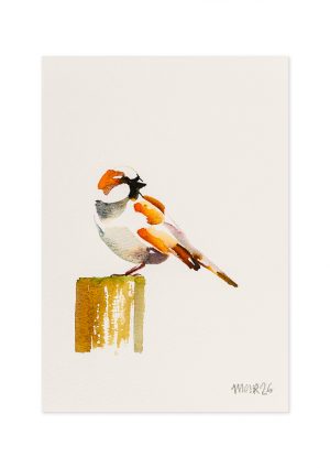 Abstract Sparrow V