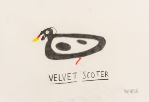 Velvet Scoter I
